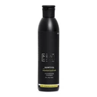 Шампунь нормалізуючий для жирних волосів Profi Style Men's Style 250 мл