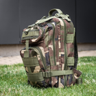 Тактичний Військовий рюкзак на 30 л Камуфляж Вудленд з системою MOLLE DOMINATOR Woodland Штурмовий + Тактичні рукавички - зображення 7