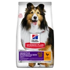 Сухий корм для собак з чутливим травленням і шкірою Hill's Science Plan Adult Sensitive Stomach & Skin Medium з куркою