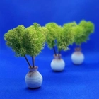 Стабилизированный мох ягель Nordic moss Зеленый светлый 150 грамм - изображение 2