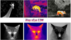 Тепловізор IRay Eye E3w - зображення 3