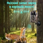 Фотоловушка, охотничья WiFi камера Suntek WiFi900plus, 2,7K, 36Мп, с приложением iOS / Android - изображение 8