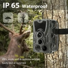 Фотоловушка, охотничья камера Suntek HC 801G, 3G, SMS, MMS - изображение 3