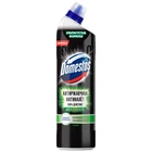 Засіб для чищення унітаза Domestos Грін 750 мл (8717163631591)