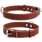 Ошейник "CoLLaR" одинарный (ширина 25мм, длина 38-50см), коричневый