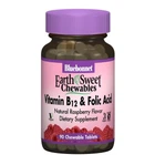 Фолієва кислота Bluebonnet Nutrition Earth Sweet Chewables Vitamin B12 & Folic Acid 90 Chewable Tabs Raspberry