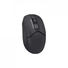 Мышка A4Tech FG12 Black (4711421958912)