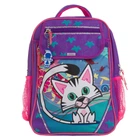 Рюкзак школьный Bagland Отличник 20 л. 170 фиолетовый 502 (0058066)