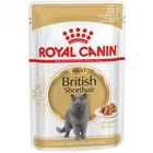Вологий корм для котів Royal Canin British Shorthair Adult 85 г