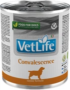 Влажный лечебный корм для собак Farmina Vet Life Convalescence для восстановления питания и выздоровления