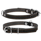 Ошейник "CoLLaR" одинарный (ширина 10мм, длина 22-30см) черный