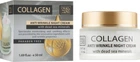 Ночной крем против морщин с коллагеном - Dead Sea Collection Collagen Anti-Wrinkle Night Cream 50ml (645055-79214)