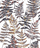 Паперові шпалери (Экологическичистые шпалери) Decoprint Ecodeco Essentials EE22543 білий листя