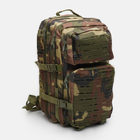 Рюкзак тактический Alpine Crown 45 л (220300-003) - изображение 6