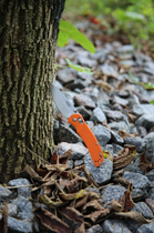 Нож складной карманный с фиксацией Back Lock Firebird F759M-OR Orange 175 мм - изображение 8
