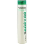 Шампунь для укрепления волос ING Professional Treat-ING Vitalizing Shampoo 250 мл