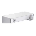 Термостат для душа Hansgrohe Ecostat Select 13171400