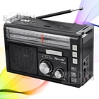 Портативний FM радіоприймач GОLОN RХ-382 FM радіо програвач з флешкою USB ЮСБ на акумуляторі від батарейок від мережі, Чорний