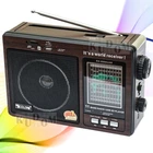Портативний FM радіоприймач GОLОN RХ 9966 FM радіо програвач з флешкою ЮСБ на акумуляторі від батарейок від мережі
