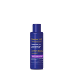 Шампунь для нейтрализации желтизны Master LUX Professional Anti-Yellow Shampoo 100 мл
