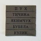 Шеврон Фамилия ЗСУ, позывной (олива, шрифт с засечками) на липучке - изображение 2