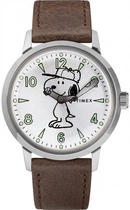 Мужские часы Timex Tx2r94900