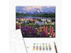 Картина по номерам Долина полевых цветов, Brushme (40х50 см), BS21019
