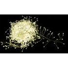 Гирлянда Luca Lighting кластер серебряная струна, 11 м, теплый белый (8718861852820)