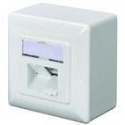 Комп'ютерна розетка Digitus 2xRJ45 FTP, для відкритої проводки (DN-9002-N)