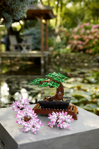 Zestaw klocków LEGO Creator Expert Drzewko bonsai 878 elementów (10281) - obraz 9