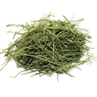 Хвощ полевой (трава) 0,25 кг - изображение 1