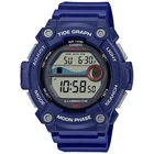 Часы CASIO WS-1300H-2AVEF