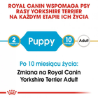 Сухий повнораційний корм для цуценят Royal Canin Yorkshire Terrier Puppy породи йоркширський тер'єр віком від 2 до 10 місяців 1.5 кг (3182550743471) (39720151) - зображення 6