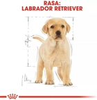 Sucha karma pełnoporcjowa dla szczeniąt Royal Canin Labrador Retriever Puppy dla labradorów do 15 miesiąca życia 12 kg (3182550725514) (24911201) - obraz 6