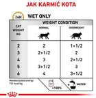 Вологий корм для кішок з урологічними проблемами ROYAL CANIN Vet Urinary S/O 12x85 г (9003579010044) - зображення 7