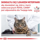Mokra karma dla kotów z problemami urologicznymi ROYAL CANIN Vet Urinary S/O - saszetki 12x85 g (9003579010044) - obraz 9