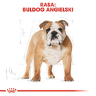 Royal Canin Bulldog Adult sucha karma pełnoporcjowa dla buldogów od 12 miesiąca życia i powyżej 12 kg (3182550719803) (2590120) - obraz 3