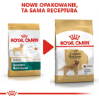 Sucha karma dla psów Golden Retriever Royal Canin 12kg (3182550743440) - obraz 6