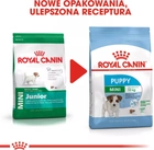 Sucha karma dla szczeniąt Royal Canin Puppy Mini 800g (3182550792929) (97167) (30000082) - obraz 8