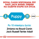 Сухий корм для цуценят Джек-Рассел-тер'єра Royal Canin Puppy 3кг (3182550822138) (21010301) - зображення 7
