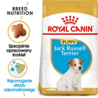 Сухий корм для цуценят Royal Canin Jack Russel Puppy 1.5 кг (3182550822121) (21010151) - зображення 4