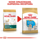 Sucha karma dla szczeniąt Golden Retriever Royal Canin Puppy 3kg (3182550751254) - obraz 9