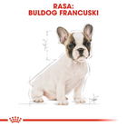 Sucha karma dla szczeniąt Buldog francuski Royal Canin Puppy 3kg (3182550811705) (3990030) - obraz 6