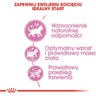 Sucha karma dla kociąt sterylizowanych Royal Canin Kitten Sterilized 3,5 kg (3182550877831) (2562035) - obraz 4