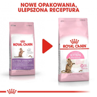 Сухий корм для стерилізованих кошенят Royal Canin Kitten Sterilised 3.5 кг (3182550877831) (2562035) - зображення 8