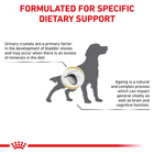 Сухий корм для собак Royal Canin Urinary S/O при лікуванні та профілактиці сечокам'яної хвороби 13 кг (3182550711418 / 3182550896856) (39131309) - зображення 4