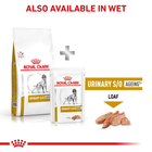 Сухий корм для собак Royal Canin Urinary S/O при лікуванні та профілактиці сечокам'яної хвороби 13 кг (3182550711418 / 3182550896856) (39131309) - зображення 7
