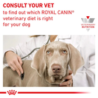 Karma sucha dla psów Royal Canin Urinary S/O w leczeniu i profilaktyce kamicy moczowej 13 kg (3182550711418 / 3182550896856) (39131309) - obraz 9