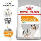 Сухий корм для собак Royal Canin Mini Coat Care 3 кг (3182550894326) (1220030) - зображення 2