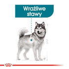 Sucha karma dla psów Royal Canin Maxi Joint Care 10 kg (3182550893701) - obraz 3
